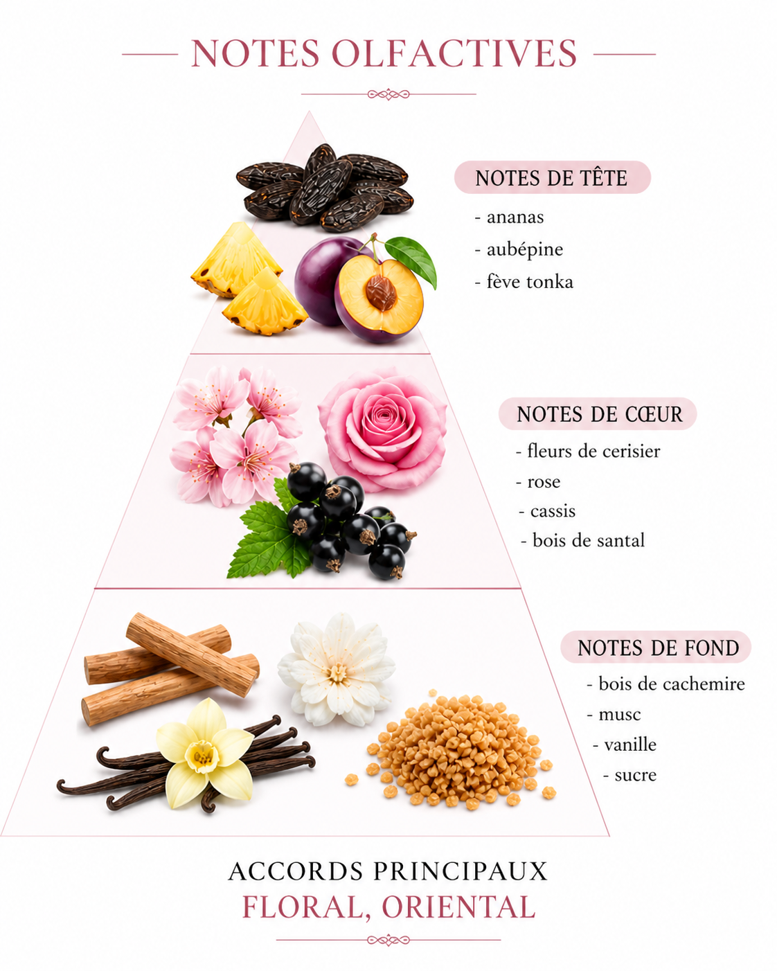 Yara Rose Foncé – Parfum Floral Gourmand
