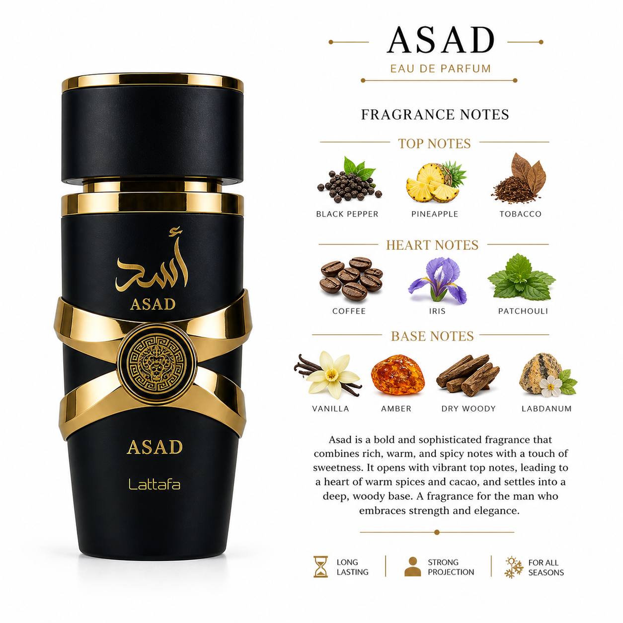 Asad – Eau de Parfum | Lattafa